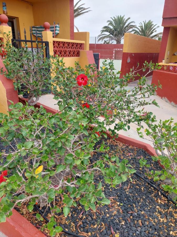 דירות קוסטה דה אנטיגואה La Paloma Buena Esperanza מראה חיצוני תמונה